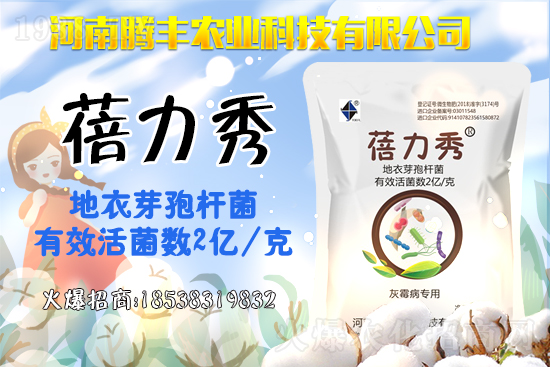 ������ԭˎ�r���߄�2021.3.18