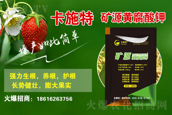 ���ջ����r(ji��)������X(qi��n)һ����2021��3��19�ջ����r(ji��)������