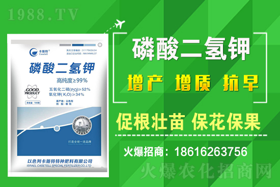 ���˷Nֲ��Ҫע����Щ���}�����˷Nֲԓ��ôʩ�ʣ�