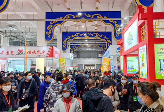 ��28�Ã�(n��i)�ɹ��r(n��ng)����