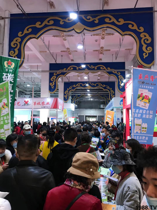 ��28�Ã�(n��i)�ɹ��r(n��ng)����