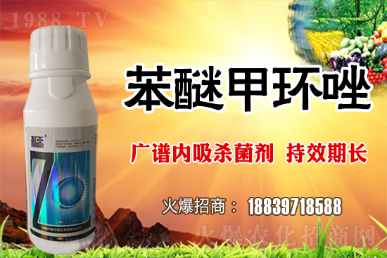 �������L(f��ng)�U�Ӵ���������ö�С�����o������