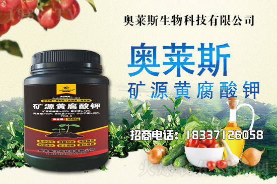 �`֥���a(ch��n)����(ji��)��ʲô�r(sh��)�����`֥���϶�ľ�������༼�g(sh��)��