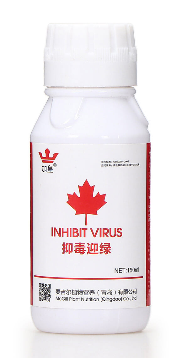 �ֶ�ӭ�G�����β������� �G��5