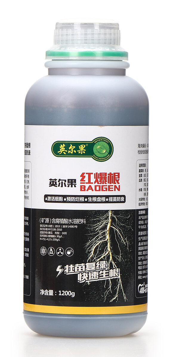 (礦源)含腐植酸水溶肥料 紅爆根 英爾果5