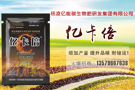 ���}�ۮa(ch��n)�����҇�(gu��)��Щʡ�������}������Щ��Ҋ(ji��n)Ʒ�N��