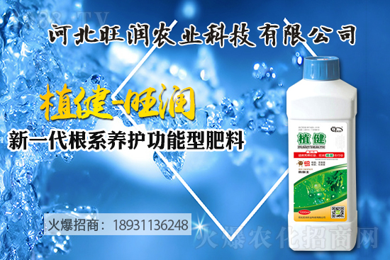 �{ݮ������ô�Nֲ���{ݮ����ķNֲ���޼����ݼ��g(sh��)��