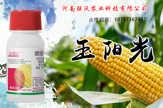 ���׳��ݞ�ʲô�x����������������݄���δ���