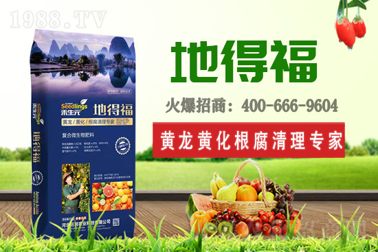 �����r�I(y��)