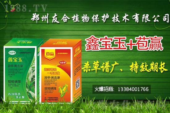 2021��5��19���޻����݄��r��