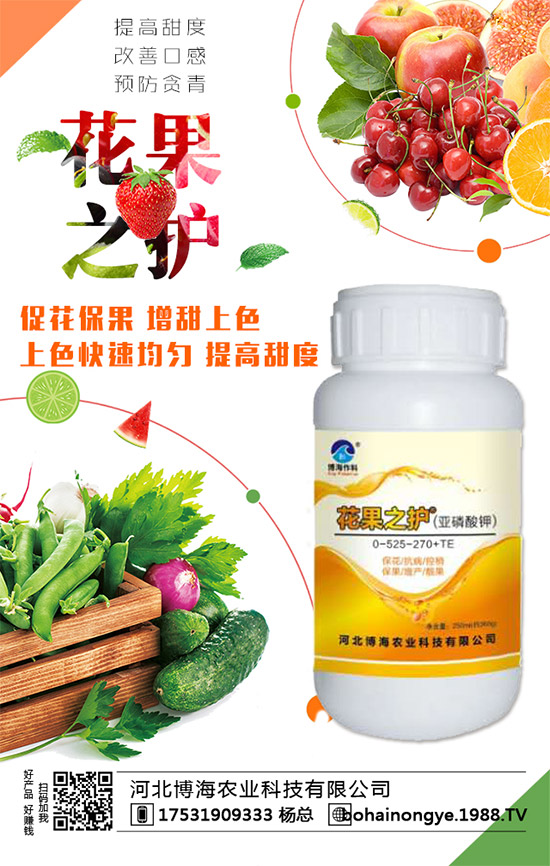 �����r(n��ng)���ٴ����v���r(n��ng)�����̾W(w��ng)�����F(xi��n)��I(y��)�°l(f��)չ��