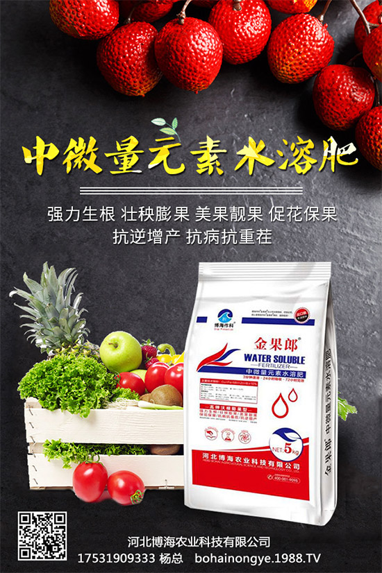 �����r(n��ng)���ٴ����v���r(n��ng)�����̾W(w��ng)�����F(xi��n)��I(y��)�°l(f��)չ��