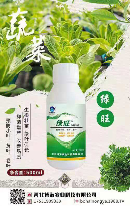 �����r(n��ng)���ٴ����v���r(n��ng)�����̾W(w��ng)�����F(xi��n)��I(y��)�°l(f��)չ��