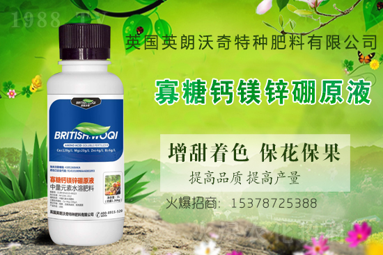 Ӣ������ɹ����s1988.TV���y�ֹ���(chu��ng)��(zh��n)����