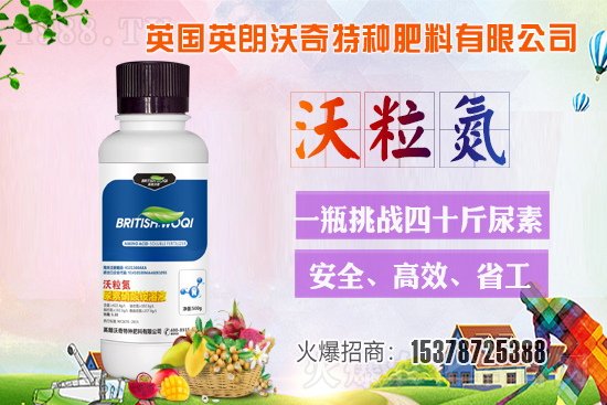 Ӣ������ɹ����s1988.TV���y�ֹ���(chu��ng)��(zh��n)����