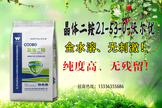 ���@�߃r�����ڇ���(n��i)���@�r�������Ո�6��15��