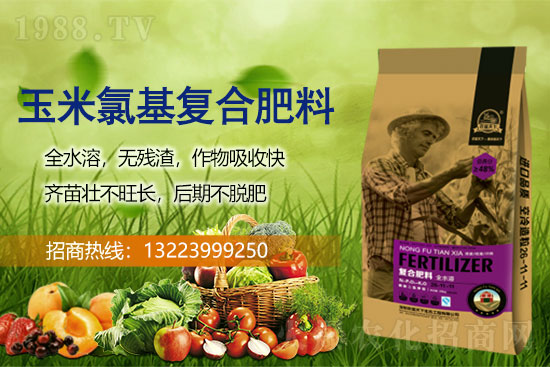 ���׹���