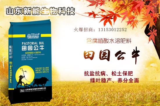 ⛷ʸ�λ�\(y��n)����2021��6��18�Շ���(n��i)⛷ʃr������