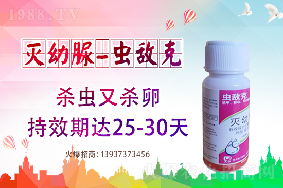 ���x(ch��ng)��