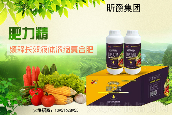 ���؃r��С���ϝq��2021��6��24�ո������؃r������һ�[