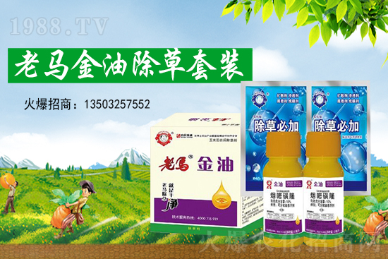 �ݸ�좃r(ji��)��(chu��ng)�¸���2021��7��15�ղݸ�좃r(ji��)���߄�