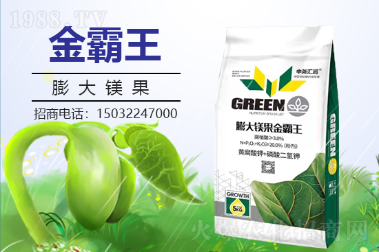 �r(n��ng)���W(w��ng)ϲӭ���������Ј�R�����s1988.TV�y�ִ����������E��