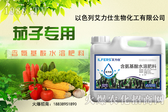 ����ʩ��