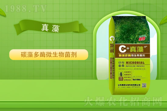 ɽ�|�W�������ٺ�1988.TV���y�ִ����������E��