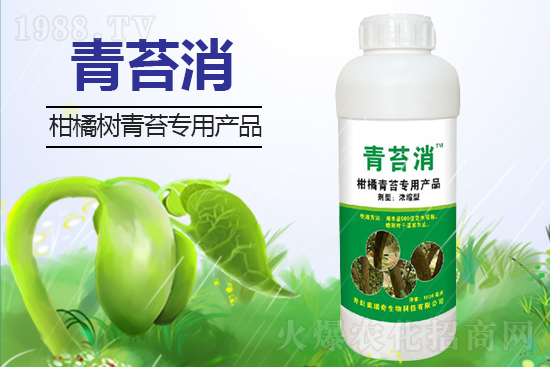 ���ղ����݄��r��2021��8��23��