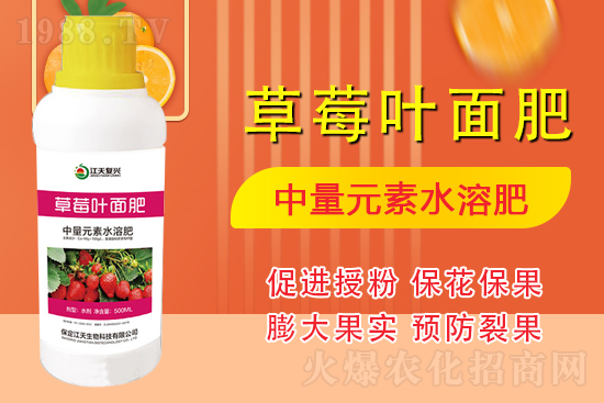 �����l(f��)չ������(chu��ng)δ�����������ﺞ�s1988.TV������(chu��ng)���x����