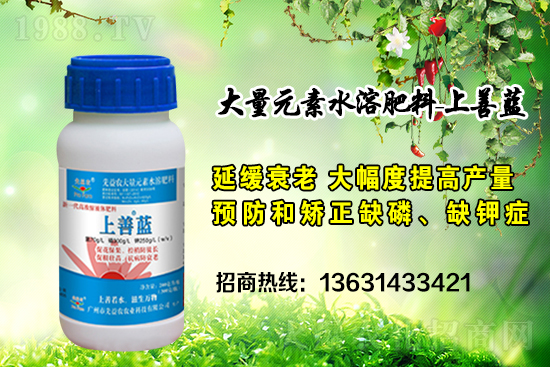 �V���������r(n��ng)�ٶȔy��1988.TV���y�ֹ���(chu��ng)��(zh��n)��(j��)��