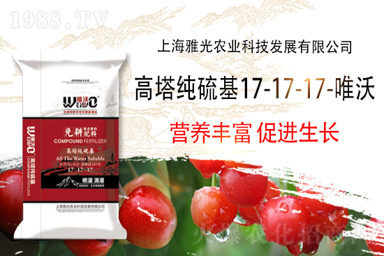 ��(f��)�Ϸʈ�r��2021��9��13�Շ���(n��i)��(f��)�Ϸʃr������