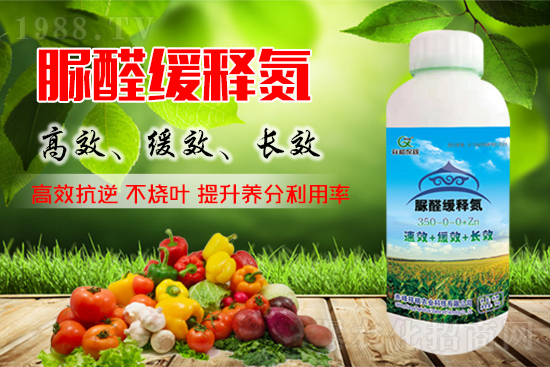 ������(w��n)�r(ji��)��(hu��)�h֮�������؃r(ji��)�����������