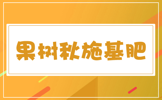 ����ʩ��