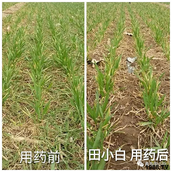 С���s������(ji��)��(ji��)�����E�ɞ�(z��i)����ô�k��С�����݄���ô�x