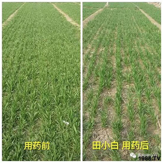 С���s������(ji��)��(ji��)�����E�ɞ�(z��i)����ô�k��С�����݄���ô�x