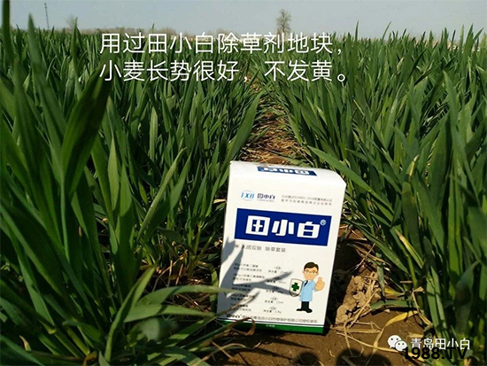 С���s������(ji��)��(ji��)�����E�ɞ�(z��i)����ô�k��С�����݄���ô�x