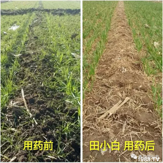 ��(ji��)��(ji��)��Σ����(y��n)����ô������ʲôˎ��Ч������