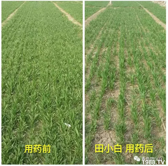 ��(ji��)��(ji��)��Σ����(y��n)����ô������ʲôˎ��Ч���ã�