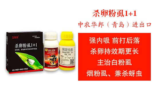 ���r�A����u���M�������޹�˾3_03