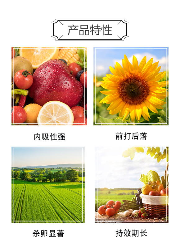 ���r�A����u���M�������޹�˾3_04