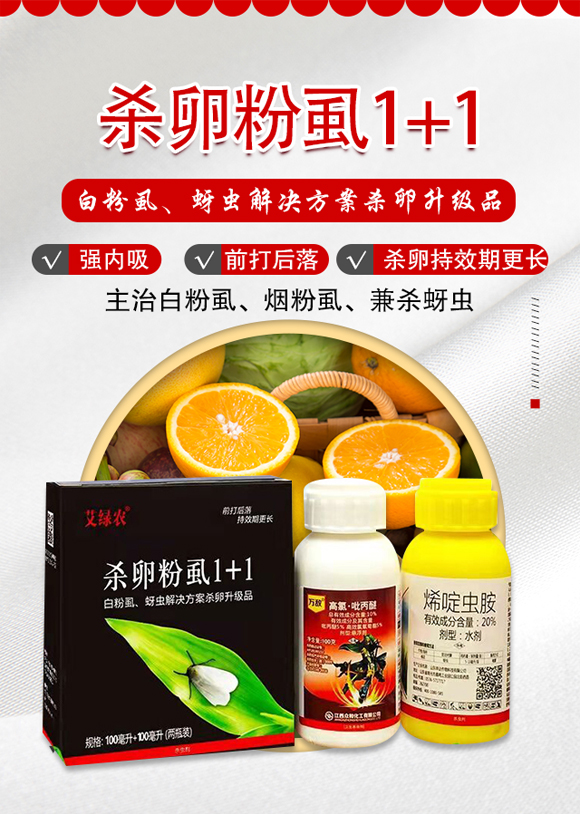 ���r�A����u���M�������޹�˾3_01