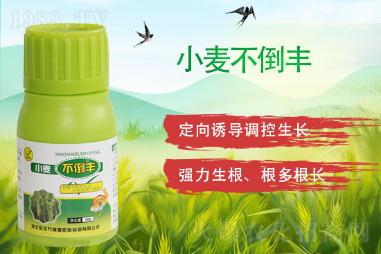 2022��2��4������������݄��r��