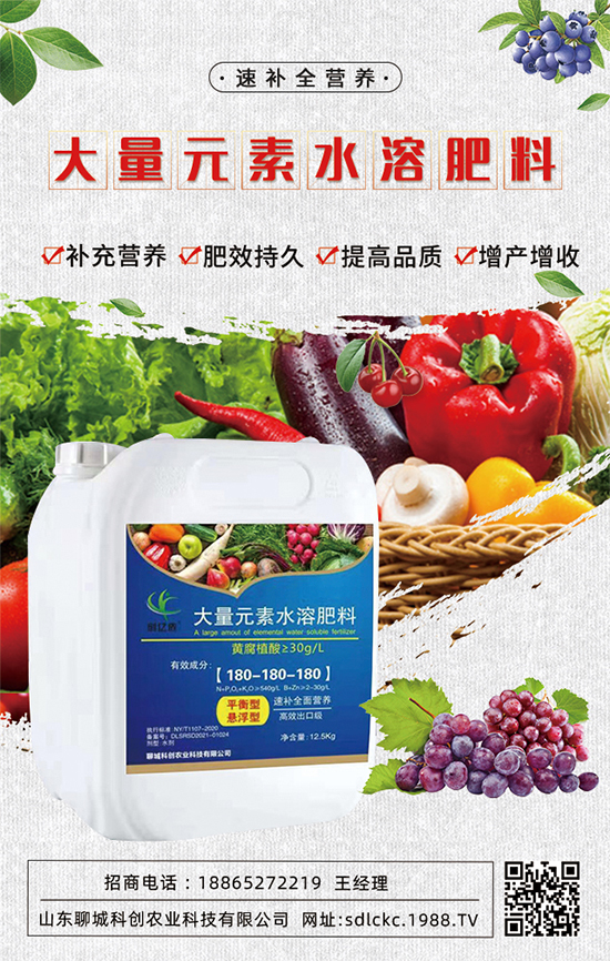 ɽ�|�ĳǿƄ�(chu��ng)�ٺ�1988.TV�����\�������p�A��