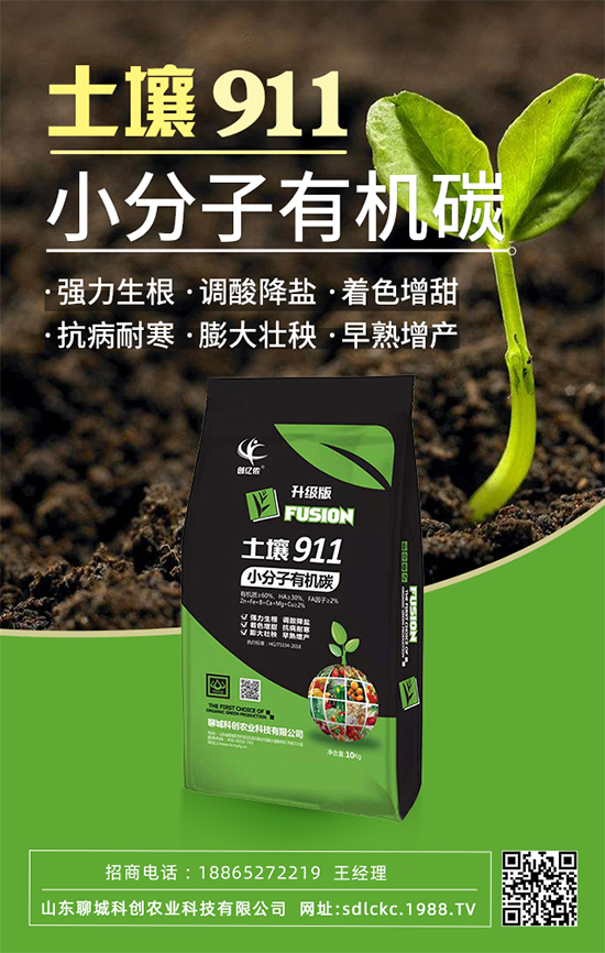 ɽ�|�ĳǿƄ�(chu��ng)�ٺ�1988.TV�����\�������p�A��