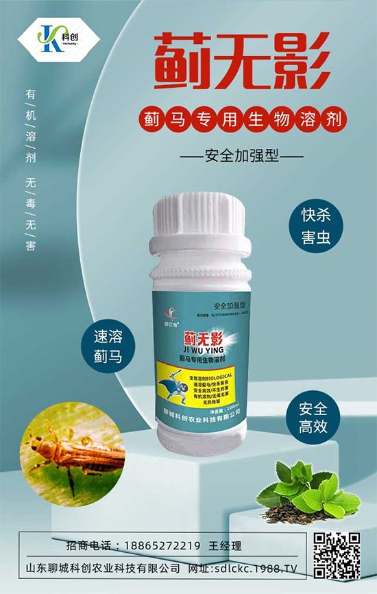 ɽ�|�ĳǿƄ�(chu��ng)�ٺ�1988.TV�����\�������p�A��