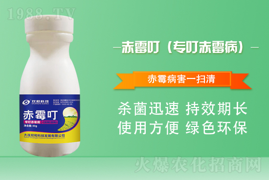 ����������(j��)�����B�p�ͿƼ��ٺ�1988.TV������(chu��ng)���x����