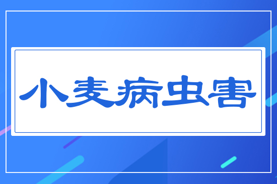 С�����x��