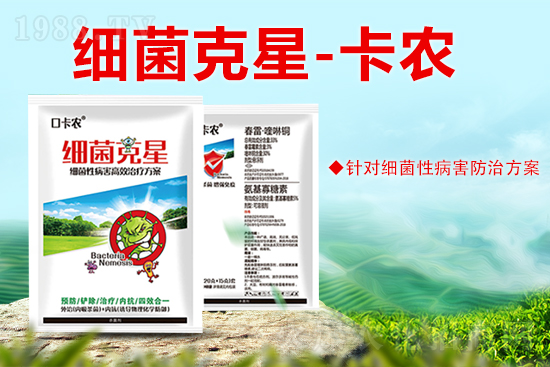 ɽ�|���r(n��ng)���W(xu��)���޹�˾38