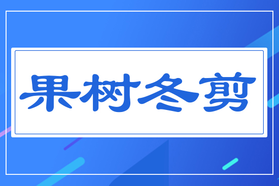 ����(sh��)����